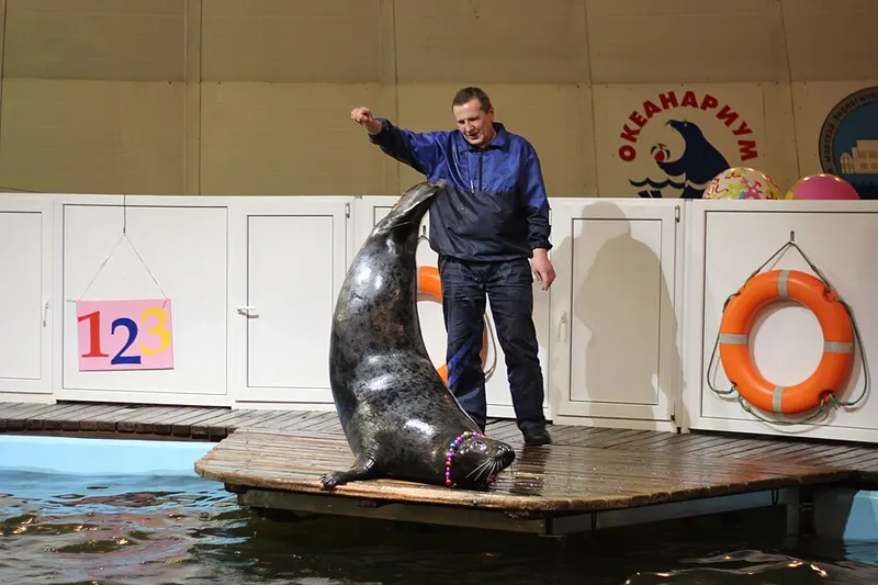 Murmansk Oceanarium