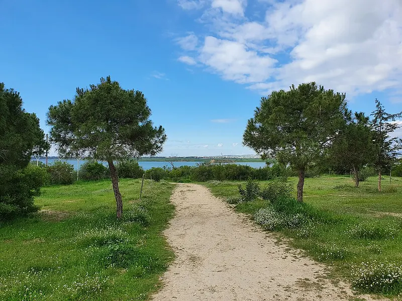 Lago salado de Lárnaca