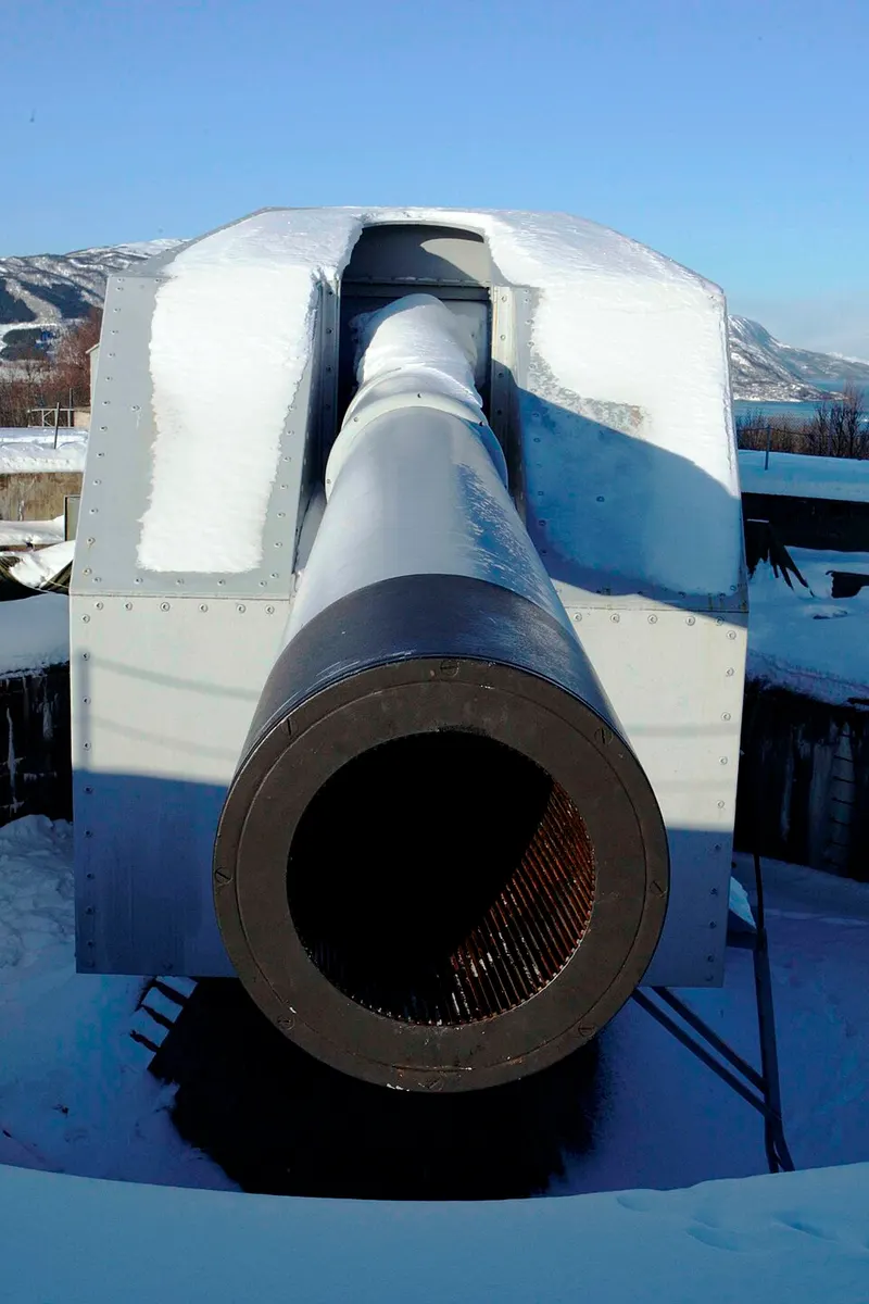 Adolf Gun
