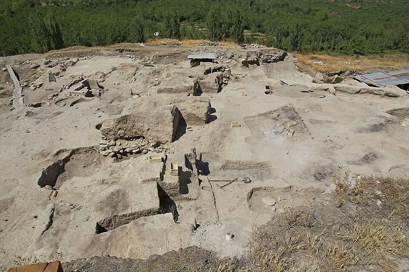 Aslantepe Höyüğü