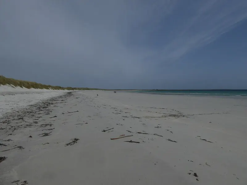 Sty Wick
