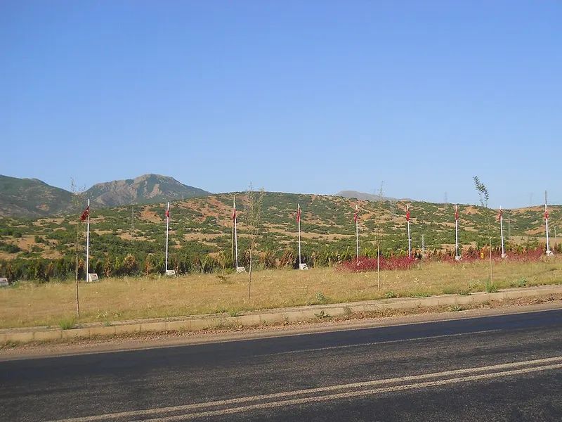 Bingöl Dağı