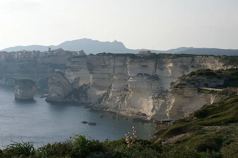 Bonifacio