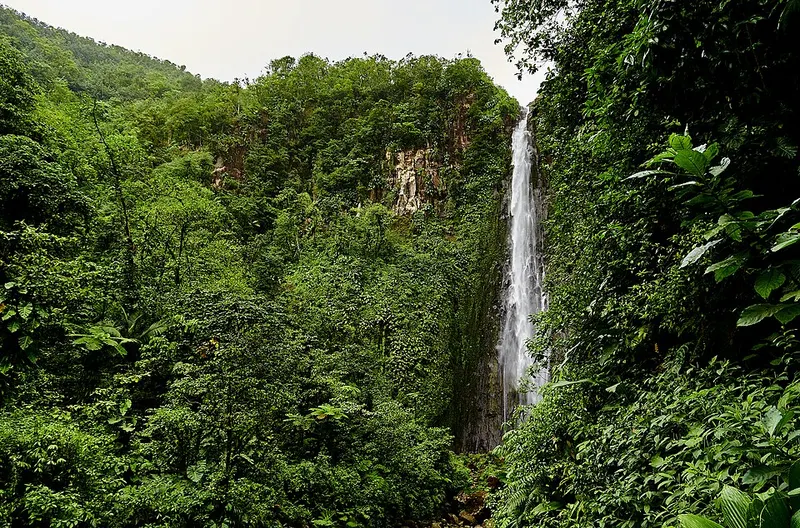 Chutes du Carbet