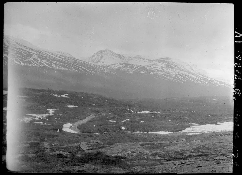 Dividalen