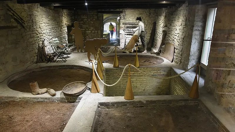 Maison natale de Louis Pasteur