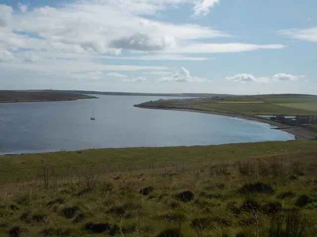 Calf Sound