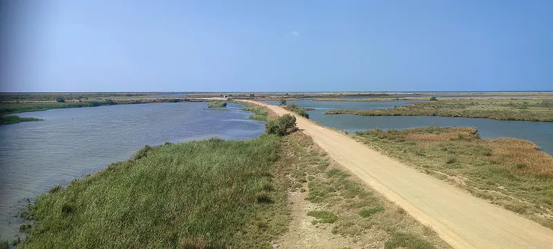 Evros Delta