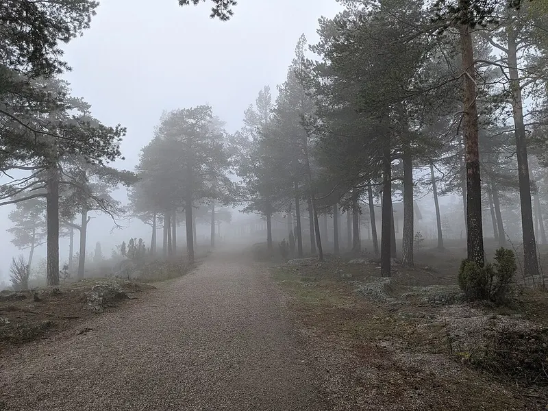 Norra berget