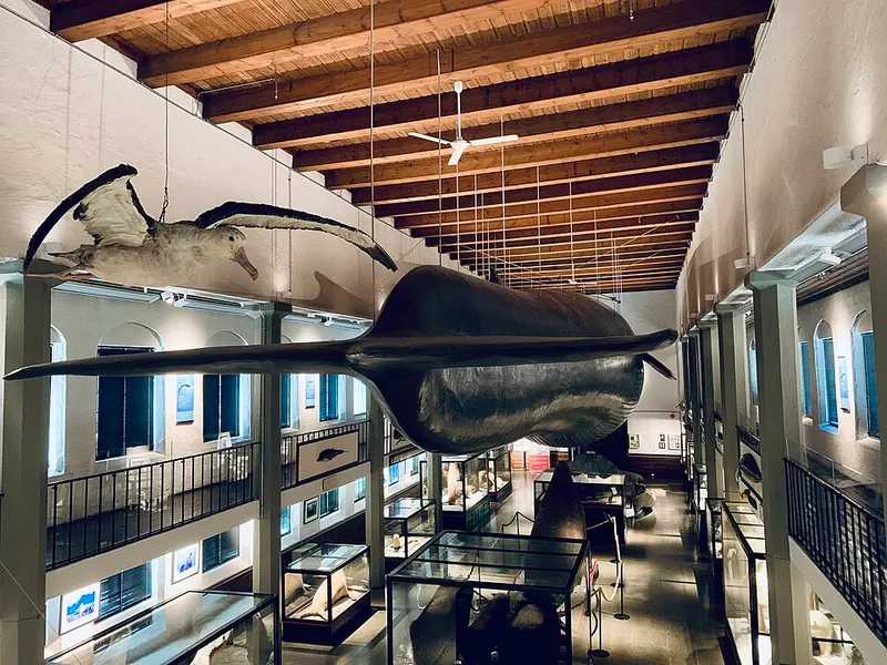 Hvalfangstmuseet