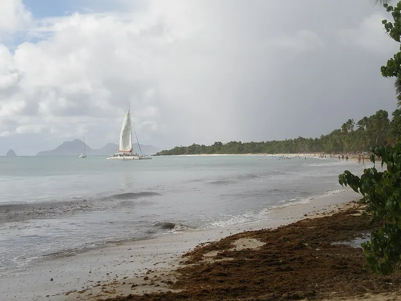 Grande Anse des Salines
