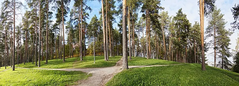 Harju
