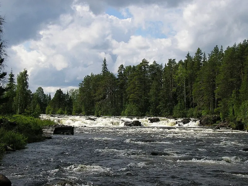 Kengisforsen