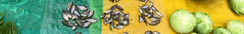 Kengtung market · Kengtung
