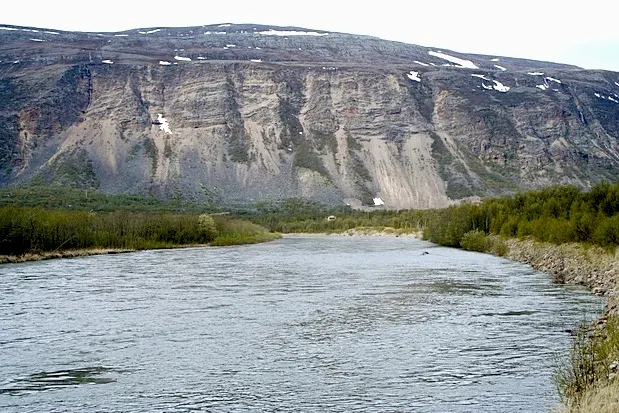 Lakselva