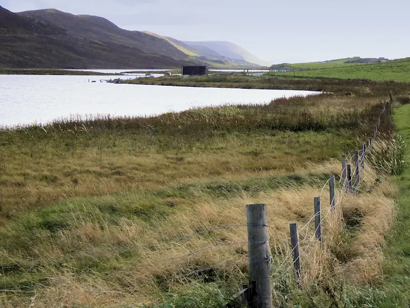 Loch of Tingwall
