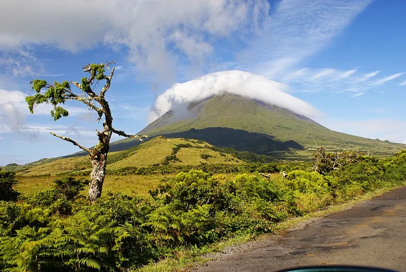 Montanha do Pico · Madalena
