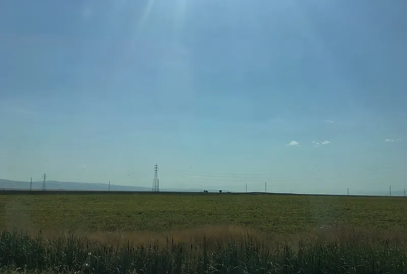 Muş Ovası