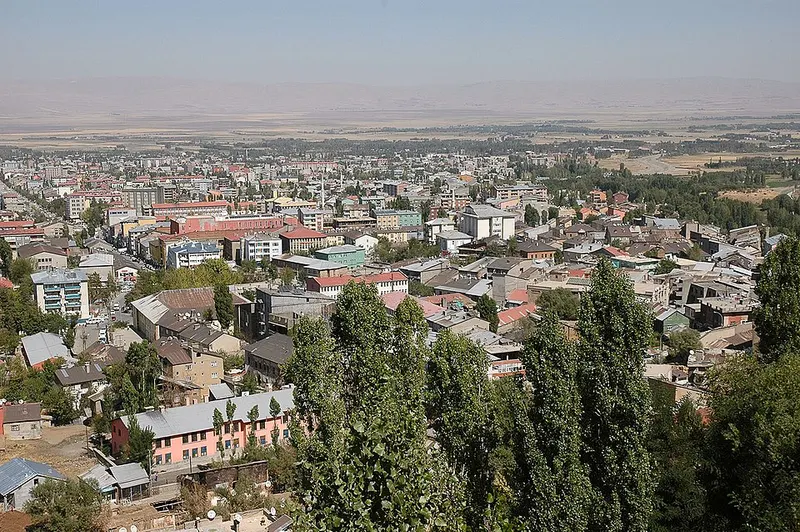 Muş Kale Tepesi