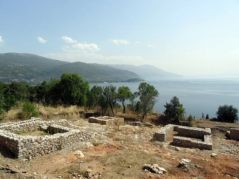 Plaošnik