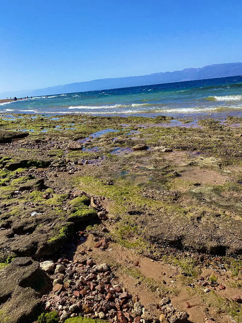 Red Sea coast · Aqaba