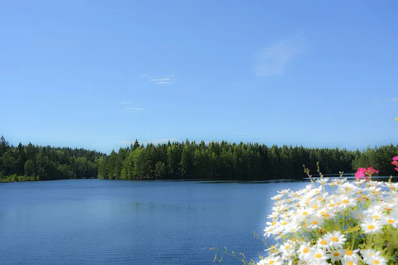 Ronnebyån