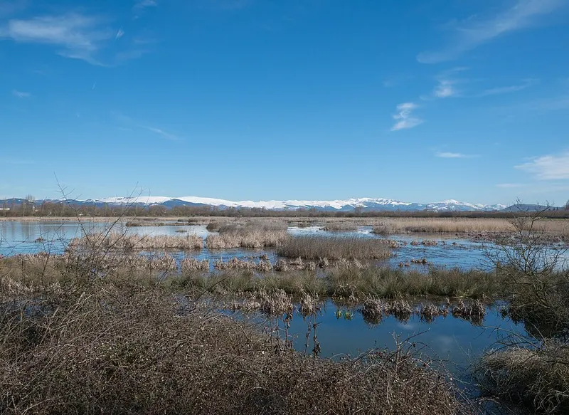 Humedales de Salburua