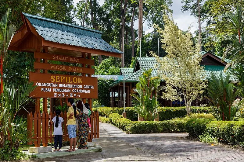 Sepilok Orangutan Rehabilitation Centre · Sandakan