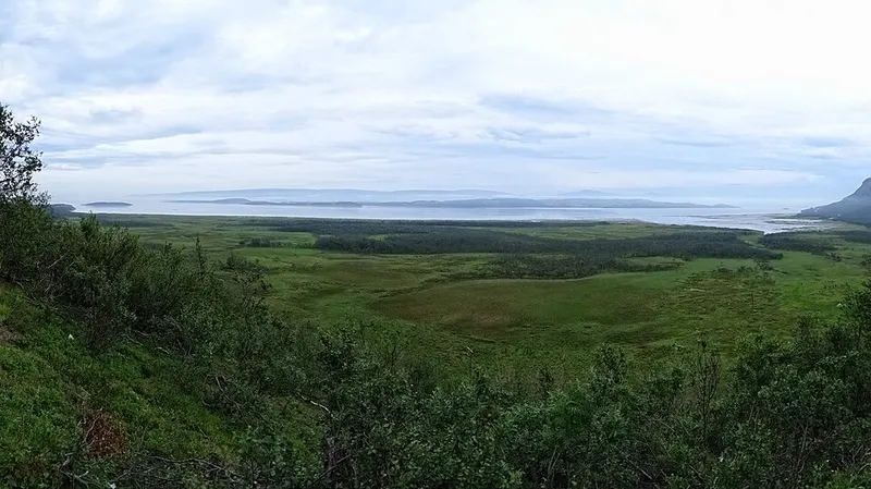 Stabbursnes naturreservat