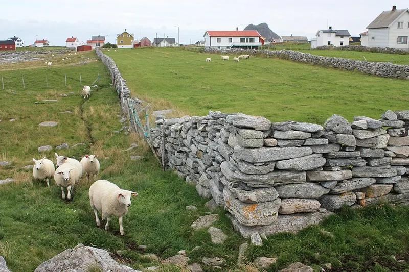 Steingjerde