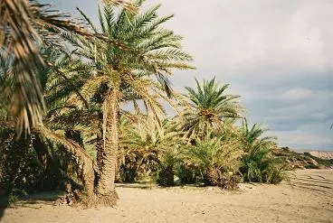 Playa de Vai