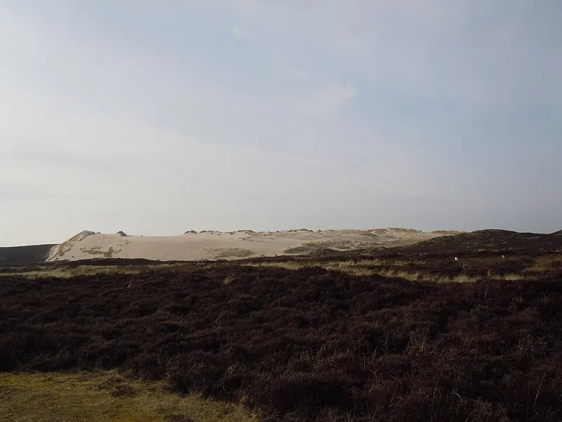Wanderdünen im Listland